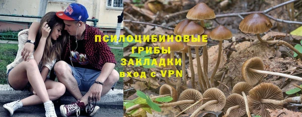 винт Елизово