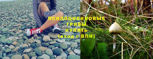 винт Елизово