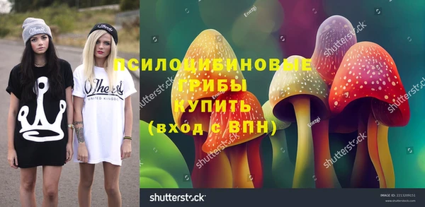 винт Елизово