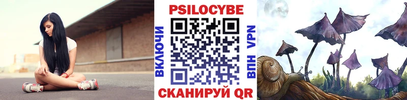 Галлюциногенные грибы мицелий Кондопога