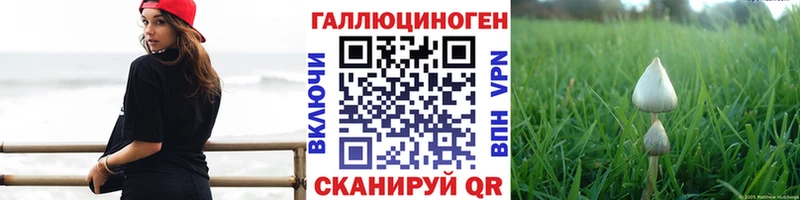 Галлюциногенные грибы мицелий  Купить где  Кондопога 